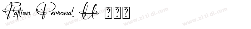 Flatlion Personal Us字体转换 Flatlion Personal Us字体转换